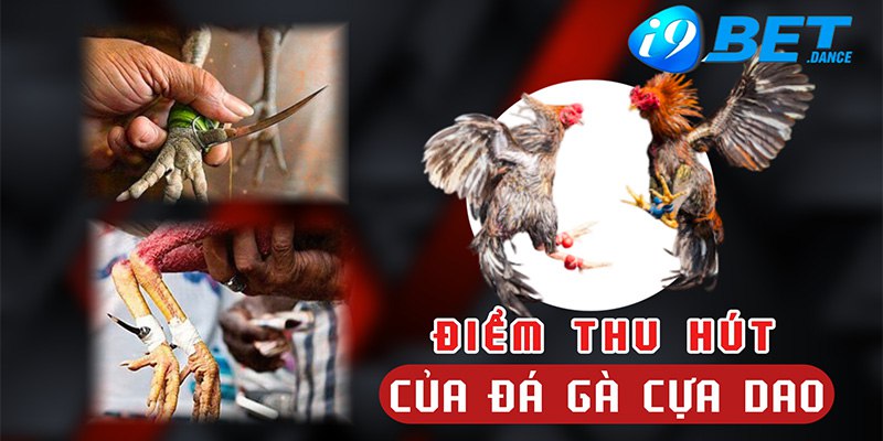 Các điểm thu hút của đá gà cựa dao