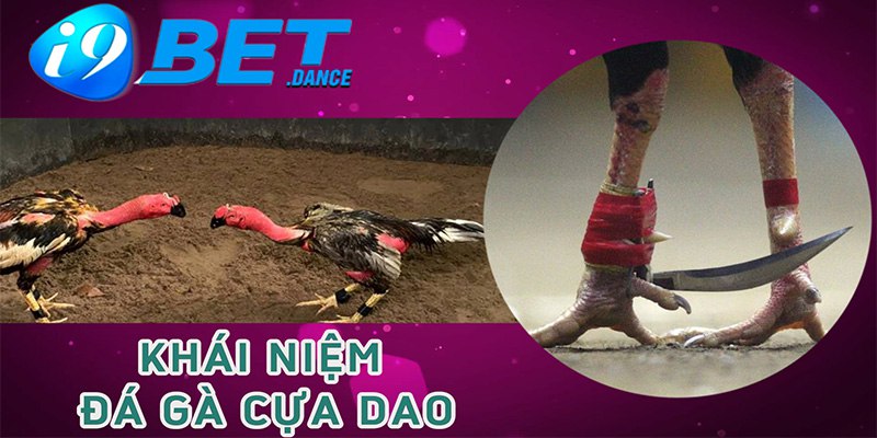 Khái niệm đá gà cựa dao